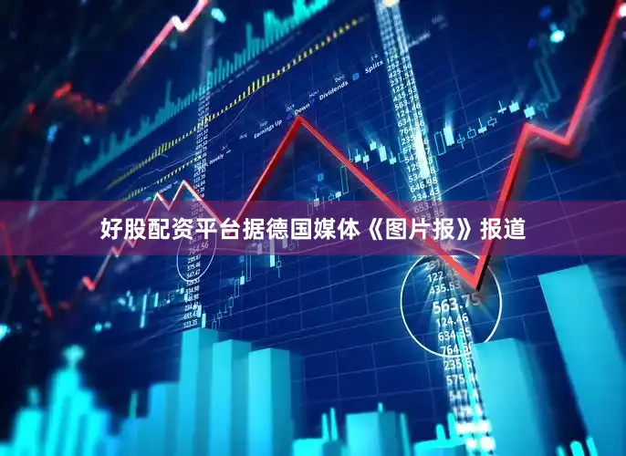 好股配资平台据德国媒体《图片报》报道