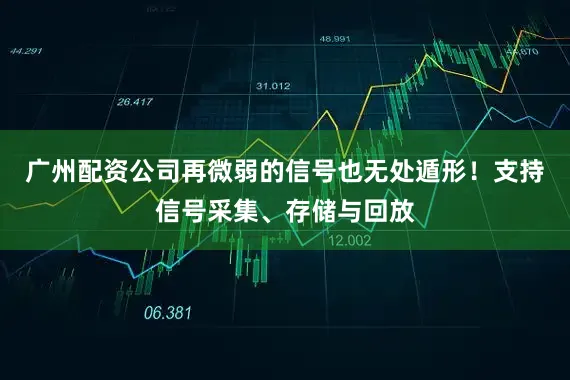 广州配资公司再微弱的信号也无处遁形！支持信号采集、存储与回放