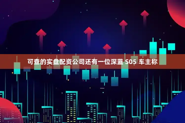 可查的实盘配资公司还有一位深蓝 S05 车主称