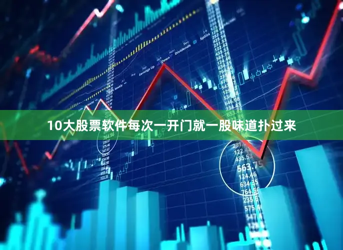 10大股票软件每次一开门就一股味道扑过来